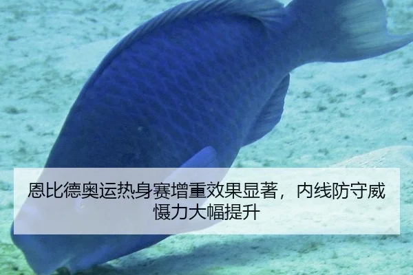 恩比德奥运热身赛增重效果显著，内线防守威慑力大幅提升